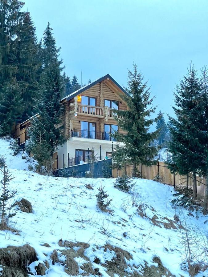 Chalet Du Lac Colibiţa Exterior foto